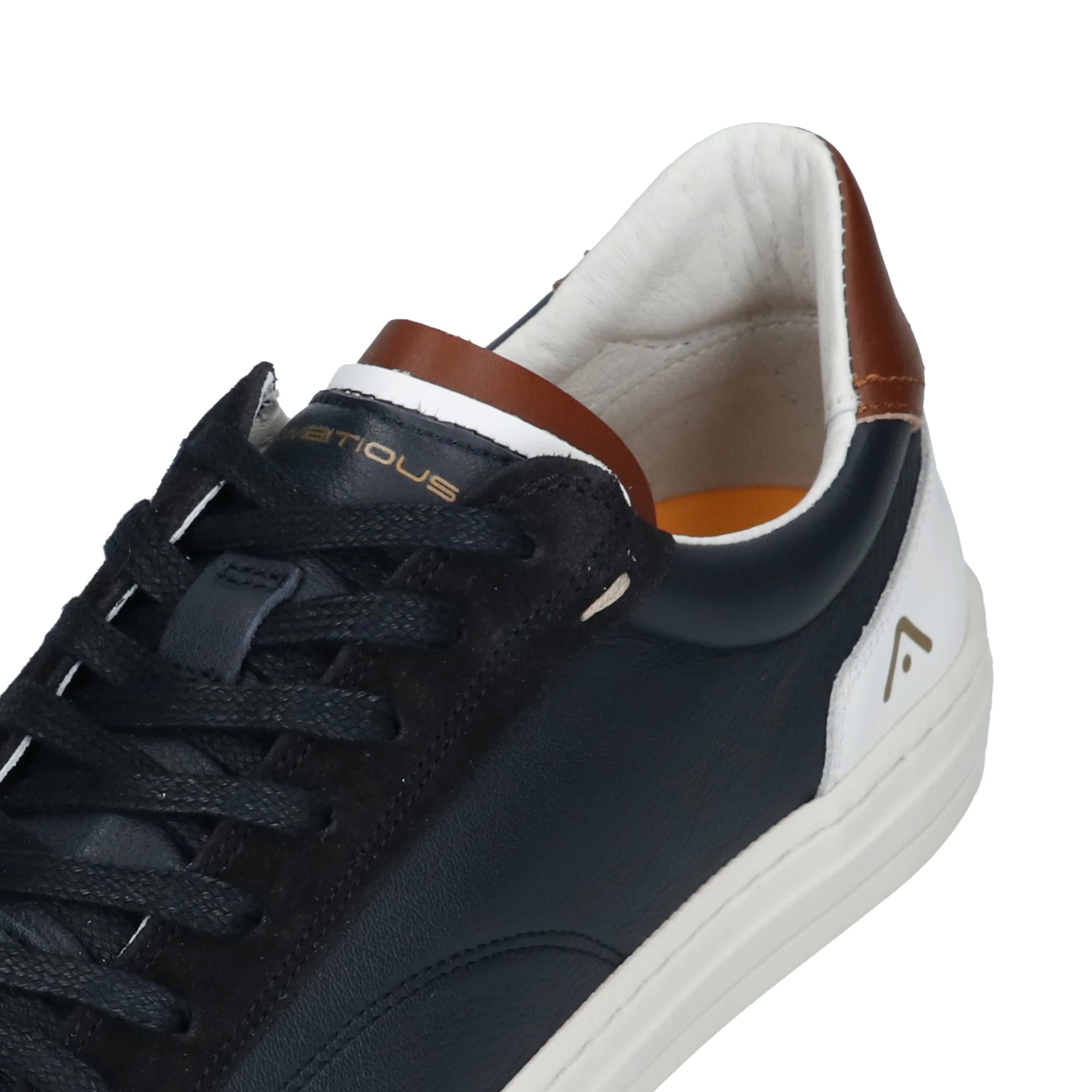 Ambitious sneakers ANOPOLIS №074533801 / NAVY ネイビー