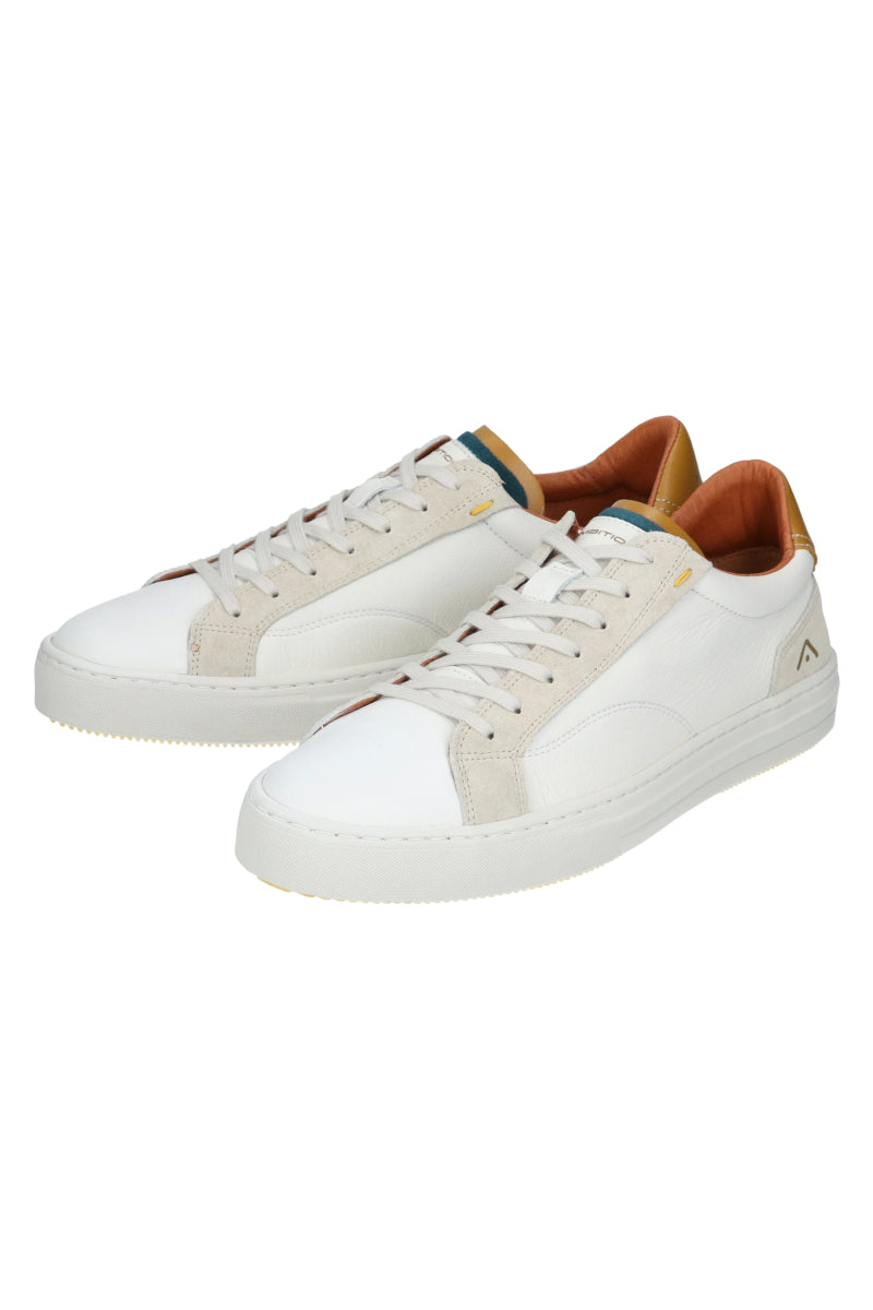 Ambitious sneakers ANOPOLIS №074533802 / WHITE×BEIGE ホワイト系